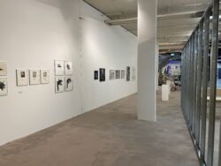 Ausstellungsansicht Randkunst goes CITYPARK, Kunstraum
