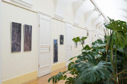 Ausstellungsansicht der Ausstellung Spur von Natascha Reiterer in der Fotogalerie im Grazer Rathaus