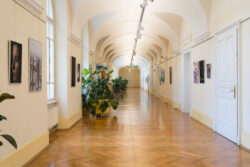 Ausstellung Fotogalerie im Grazer Rathaus Ortweinschule 2022