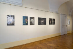 Fotografie Ortweinschule 2025, Fotogalerie im Grazer Rathaus