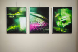 Fotografie Ortweinschule 2025, Fotogalerie im Grazer Rathaus
