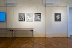 Fotografie Ortweinschule 2025, Fotogalerie im Grazer Rathaus