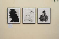 © Kulturvermittlung Steiermark (Natascha Reiterer) Ausstellung Fotogalerie im Grazer Rathaus | Steirische Positionen experimenteller Fotografie