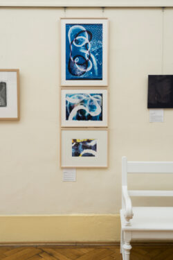 © Kulturvermittlung Steiermark (Natascha Reiterer) Ausstellung Fotogalerie im Grazer Rathaus | Steirische Positionen experimenteller Fotografie