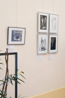 © Kulturvermittlung Steiermark (Natascha Reiterer) Ausstellung Fotogalerie im Grazer Rathaus | Steirische Positionen experimenteller Fotografie