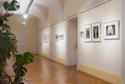 Erich Kees (1916–2006), Ausstellung in der Fotogalerie im Grazer Rathaus