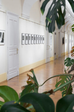 Erich Kees (1916–2006), Ausstellung in der Fotogalerie im Grazer Rathaus