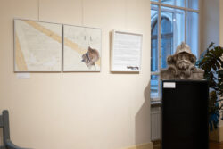 Ausstellung foto : grafik von Andreas Ledl in der Fotogalerie im Grazer Rathaus