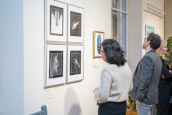 Experimentelle Positionen der steirischen Fotografie, Part II: N–Z, Fotogalerie im Grazer Rathaus