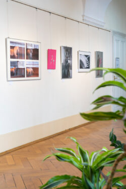 Ausstellung In Bewegung der Modellschule Graz in Jugendgalerie im Grazer Rathaus