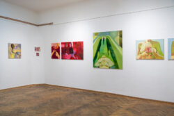 Ausstellung in der Galerie Centrum: Magdalena Herzog, Theresa Obermayer und Bruno Richard zeigen unter Images à Trois ihre Werke