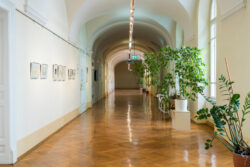 Ausstellung der MS Fröbel in der Jugendgalerie im Grazer Rathaus