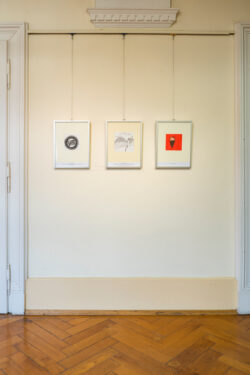 Ausstellung der MS Fröbel in der Jugendgalerie im Grazer Rathaus
